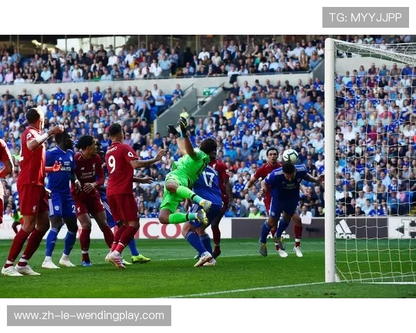 卡迪夫城在英超赛场上的战绩表现如何？