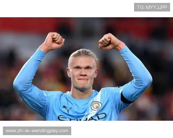 英超球员个人进球数统计榜：谁是效率王？