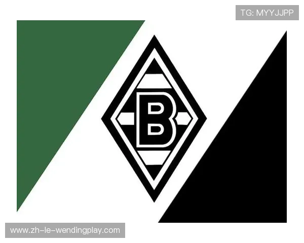 德甲俱乐部的经济运营模式浅析